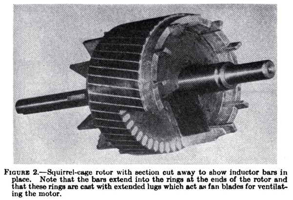 Squirrel Cage Rotor