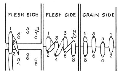 LacingBelts