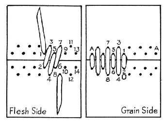 LacingBelts